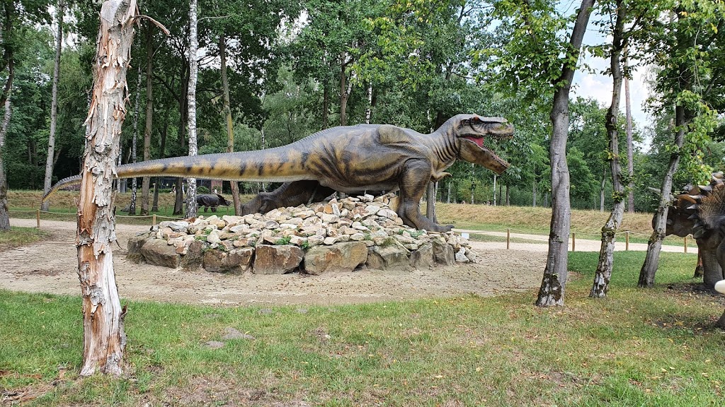Dino Zoo Metelen - Foto 1