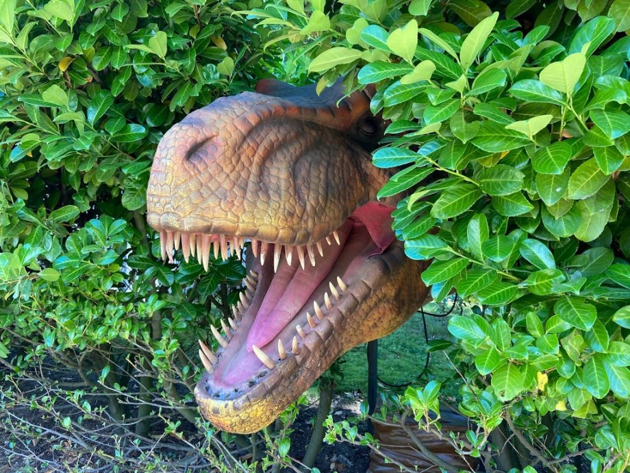 Dino Zoo Metelen - Foto 7