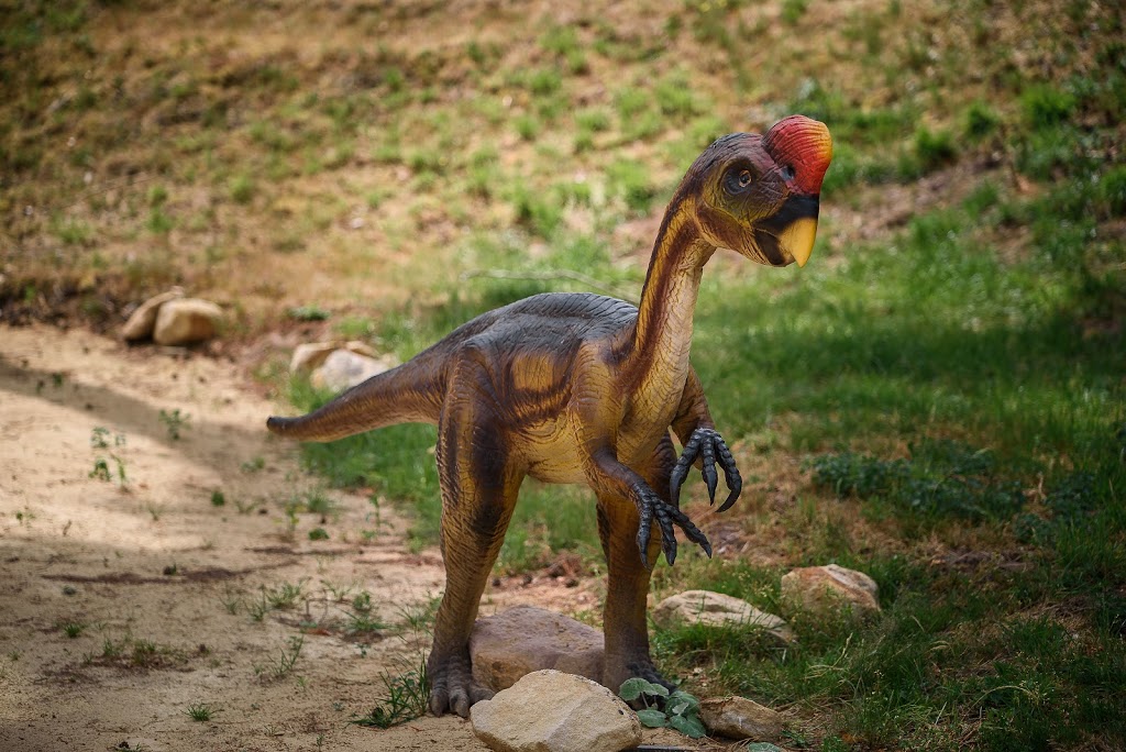 Dino Zoo Metelen - Foto 1