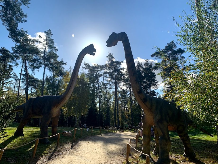 Dino Zoo Metelen - Foto 12