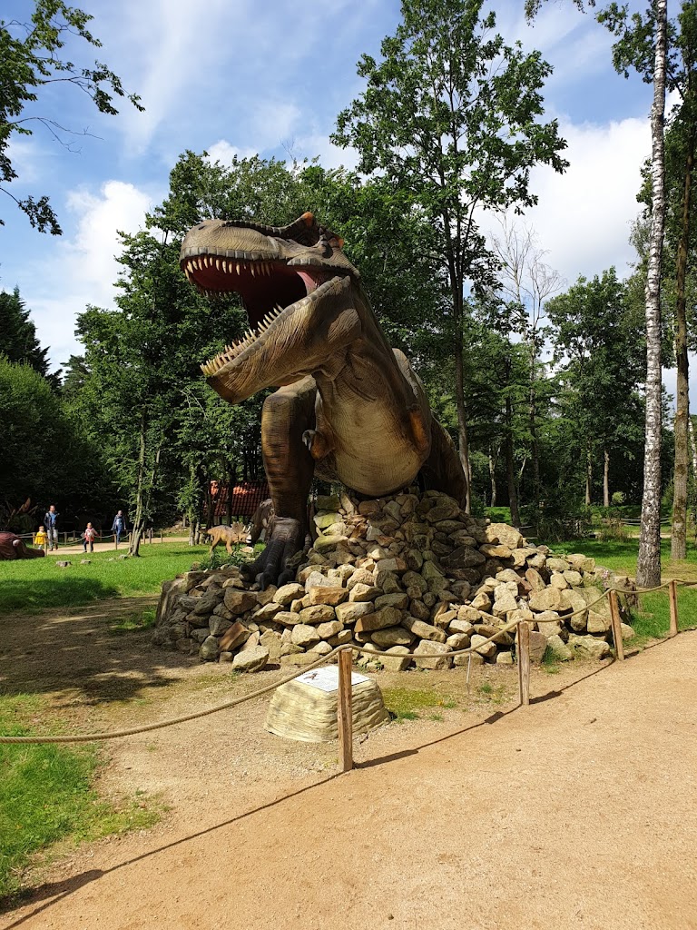 Dino Zoo Metelen - Foto 14