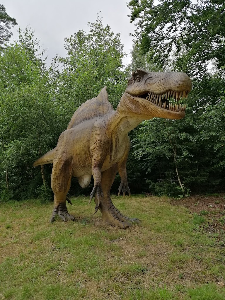 Dino Zoo Metelen - Foto 15