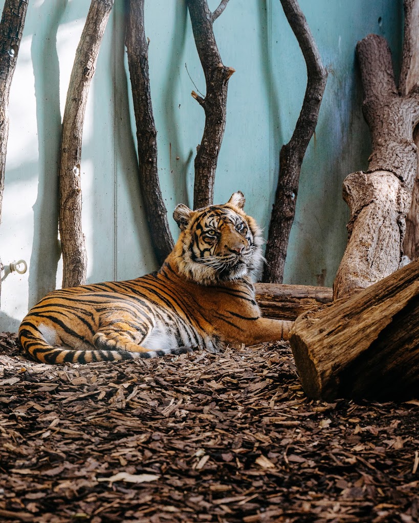 Zoo Frankfurt - Foto 7