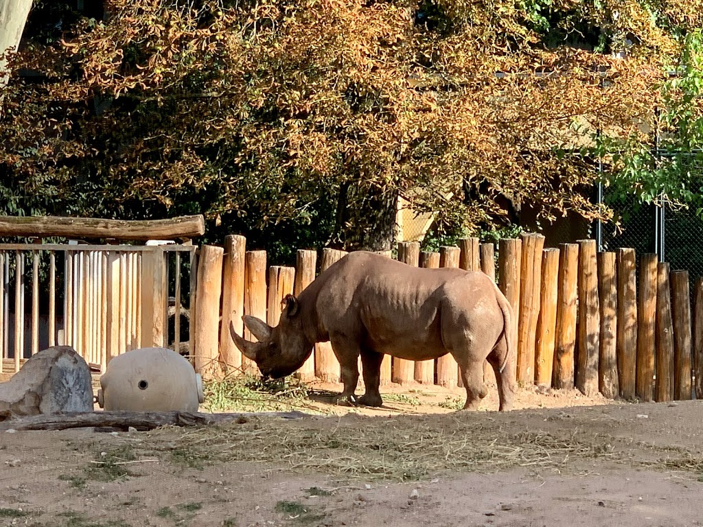 Zoo Frankfurt - Foto 1