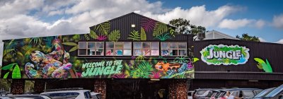 The Jungle Adventure Play