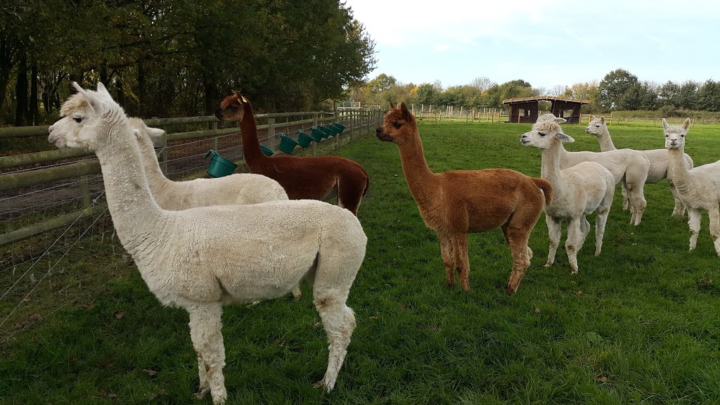 Hobbledown Adventure Farm Park and Zoo - Foto 1