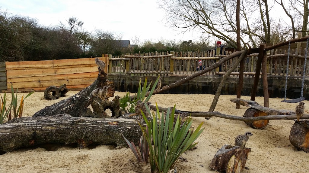 Hobbledown Adventure Farm Park and Zoo - Foto 1