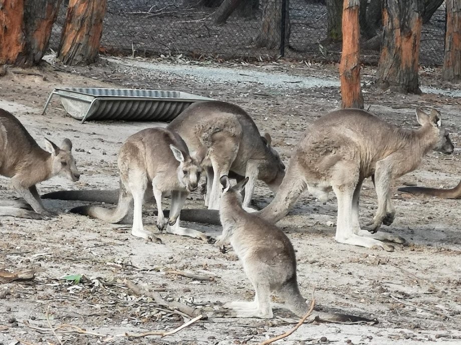 Gumbuya World - Foto 7