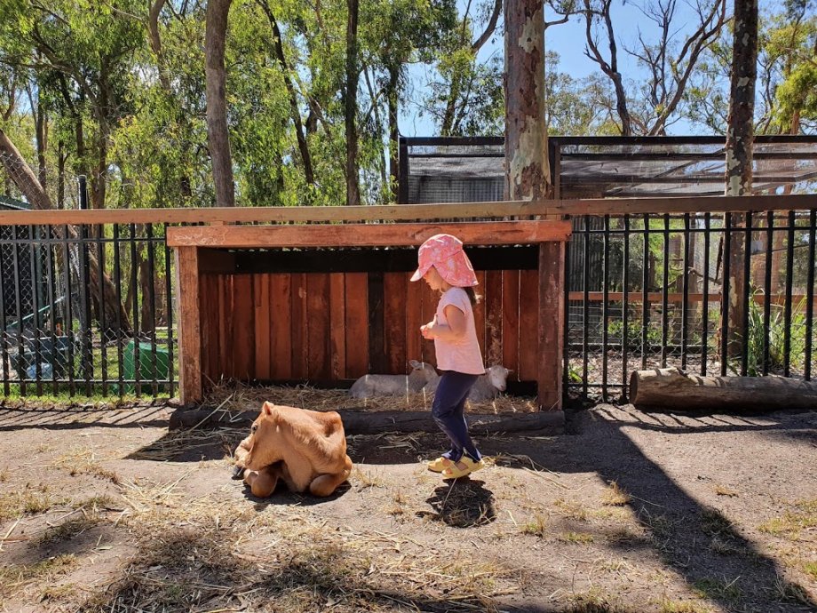 Gumbuya World - Foto 8