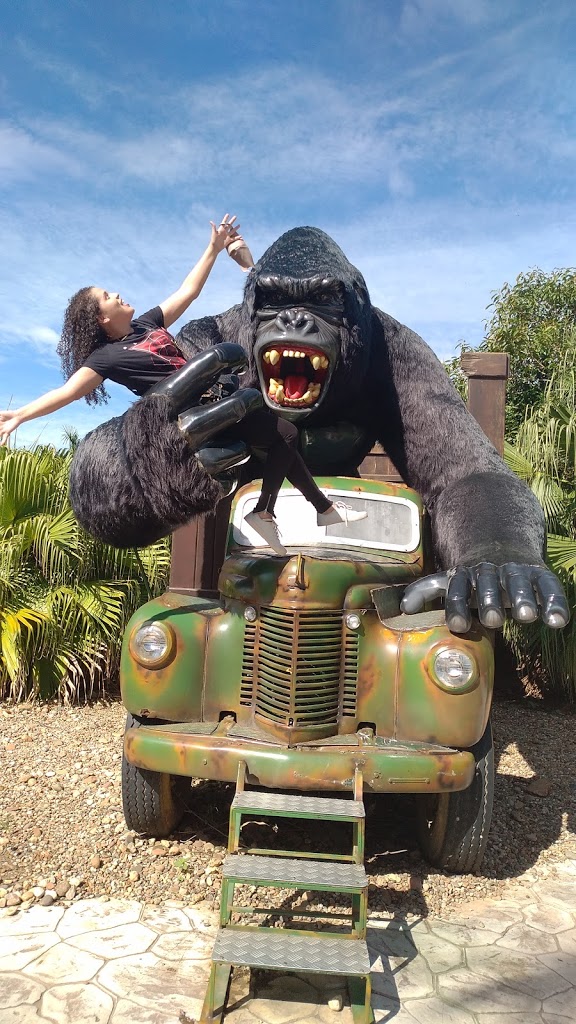 Beto Carrero World - Foto 5