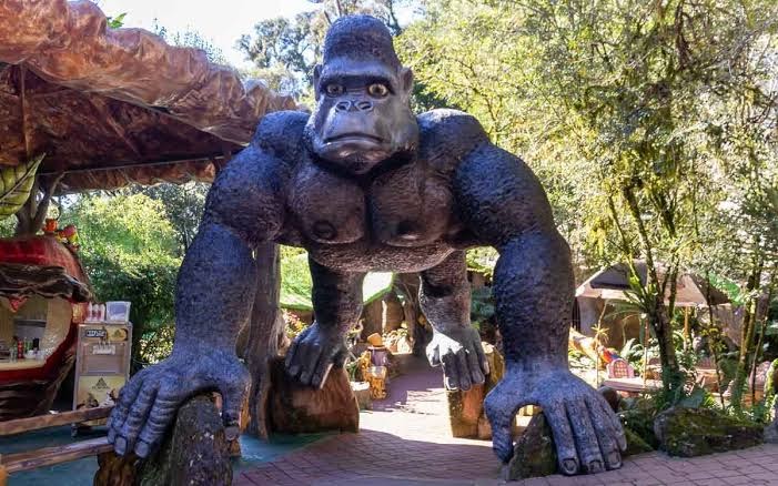 Florybal Magic Park Land - Foto 1