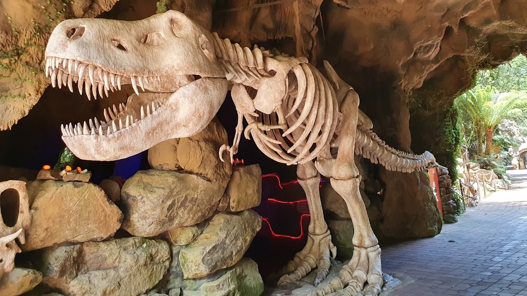 Florybal Magic Park Land - Foto 1