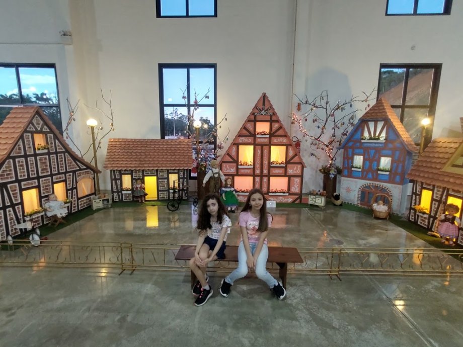 Museu do Brinquedo Pomerode - Foto 5