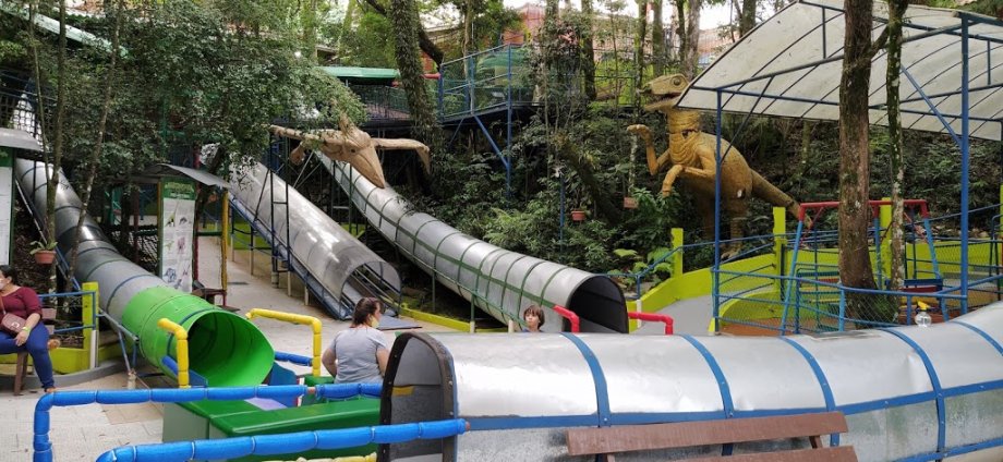 Parque MikeWood - Foto 5