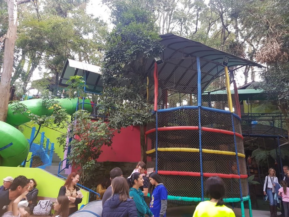 Parque MikeWood - Foto 9