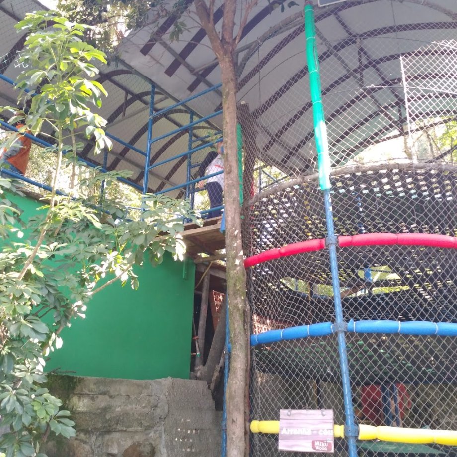 Parque MikeWood - Foto 13