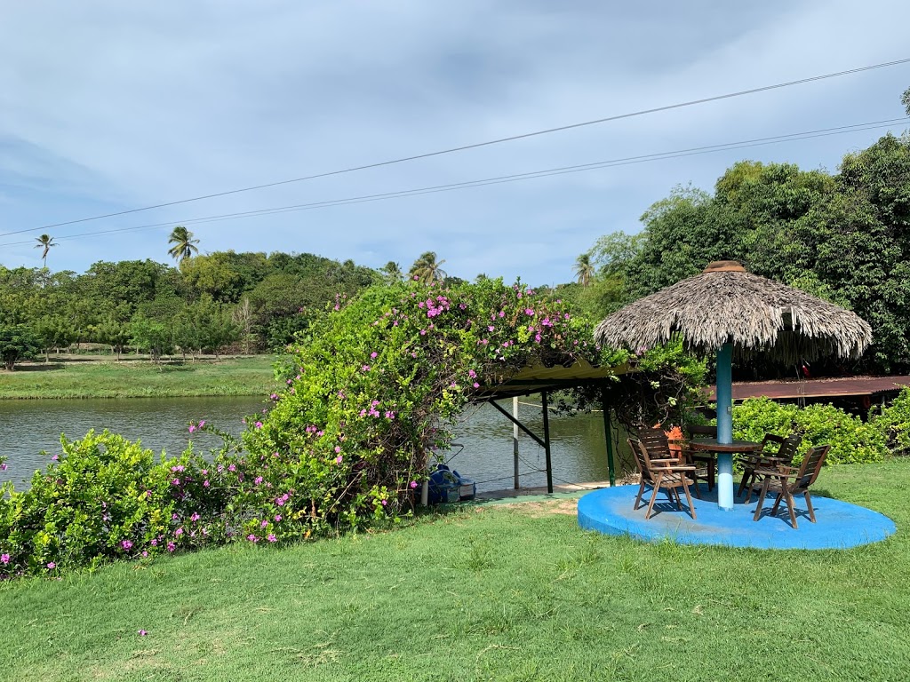 Engenhoca Parque - Foto 1