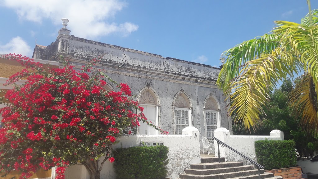 Engenhoca Parque - Foto 1