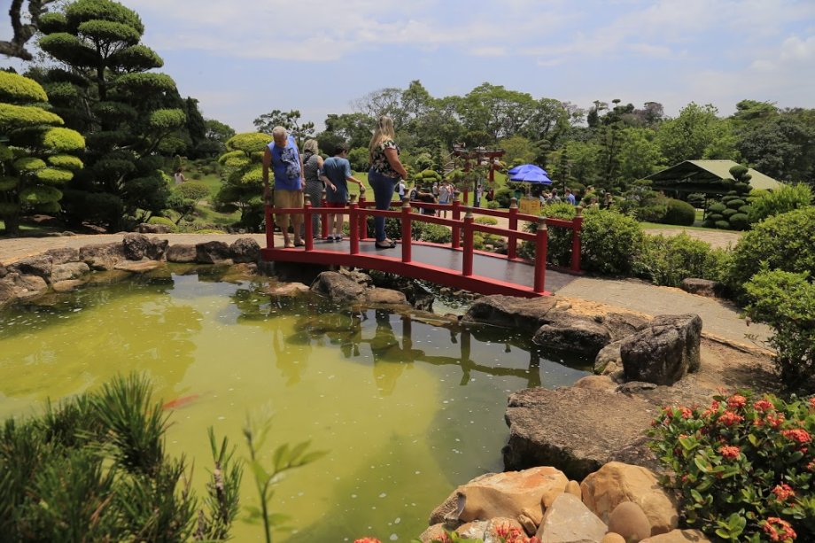 Parque Maeda - Foto 3