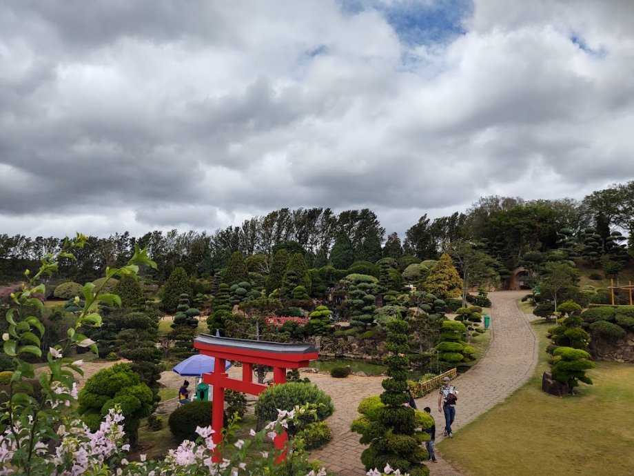 Parque Maeda - Foto 9