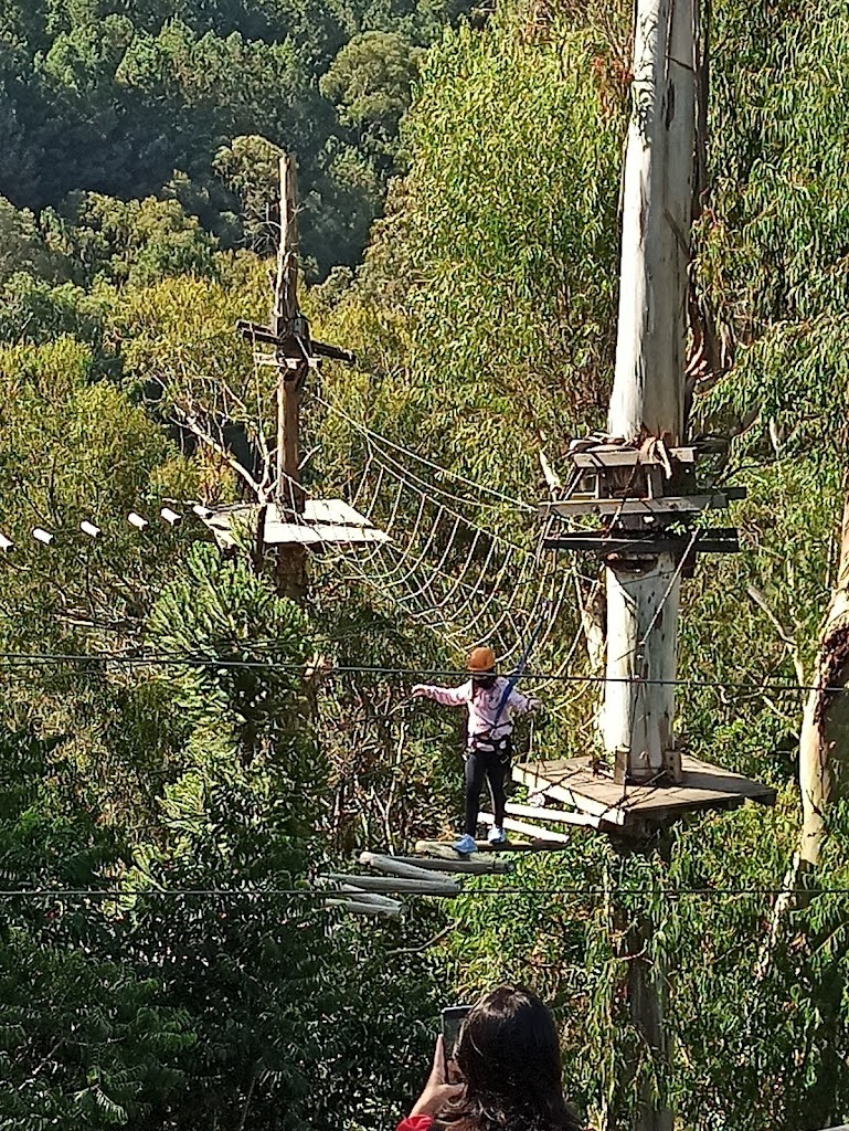 Alpen Park - Foto 13