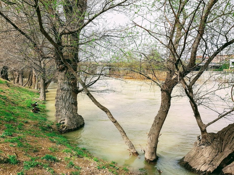 Parque de San Pablo Río Ebro - Foto 6