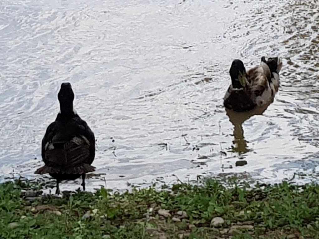 Parque de San Pablo Río Ebro - Foto 1