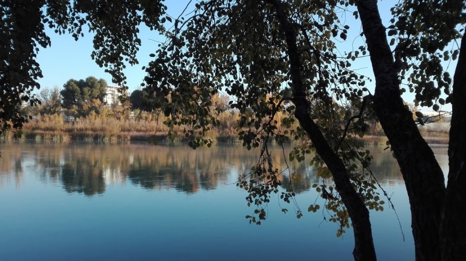 Parque de San Pablo Río Ebro - Foto 9