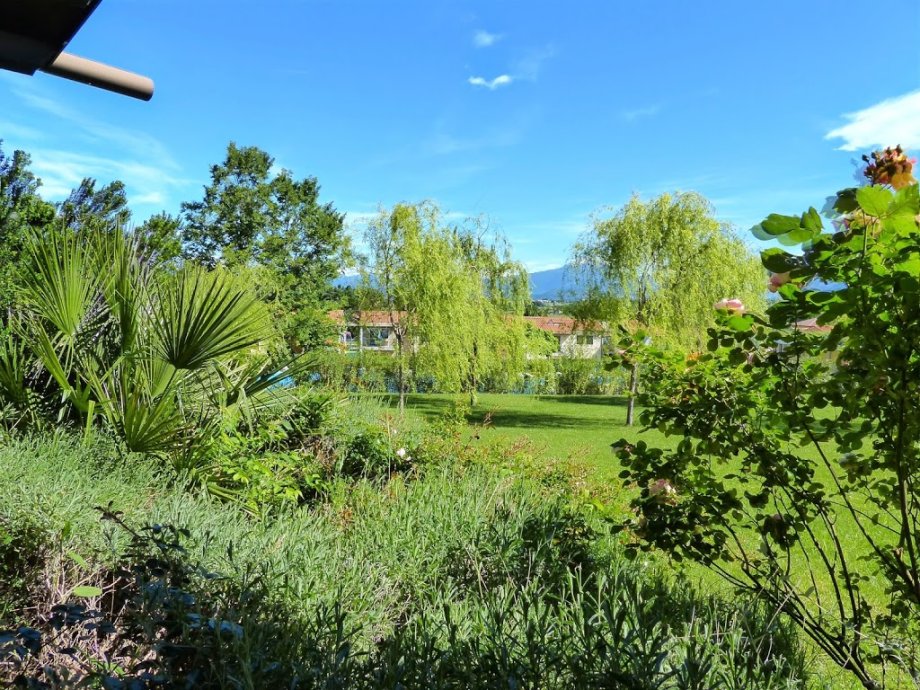 Belvedere Village - Foto 8