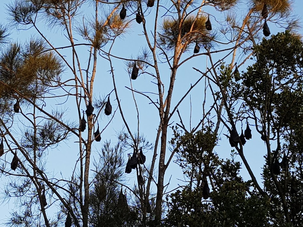 Perrin Park - Foto 1