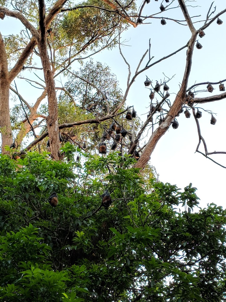 Perrin Park - Foto 5