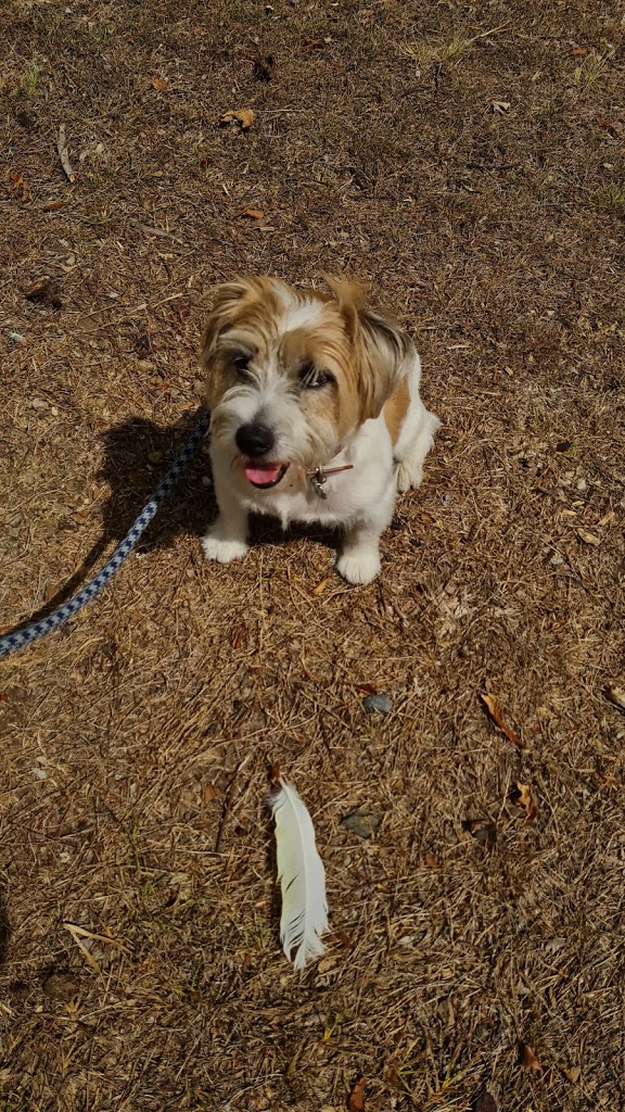 Perrin Park - Foto 8