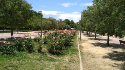 Parque de Paseo de Ginebra