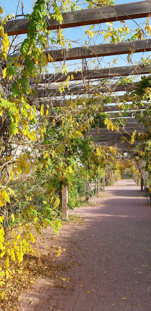 Parque de Paseo de Ginebra - Foto 1