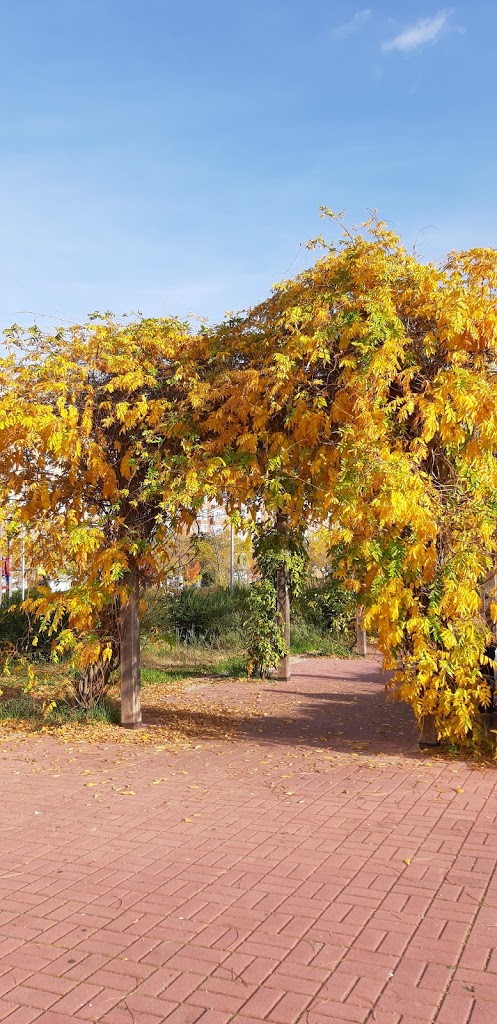 Parque de Paseo de Ginebra - Foto 1