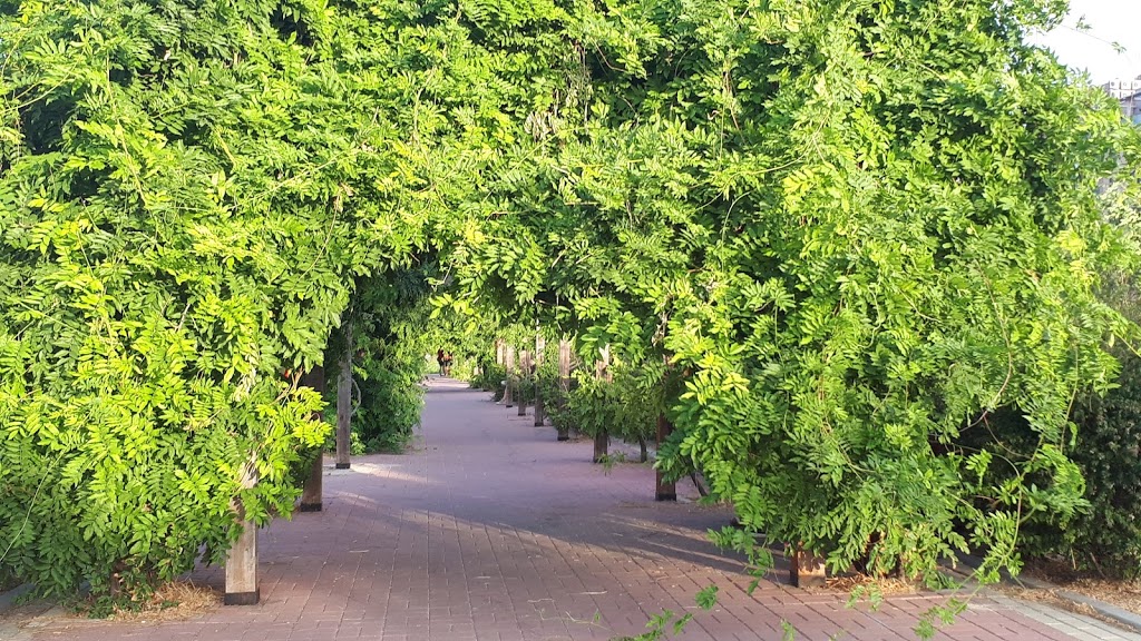 Parque de Paseo de Ginebra - Foto 1