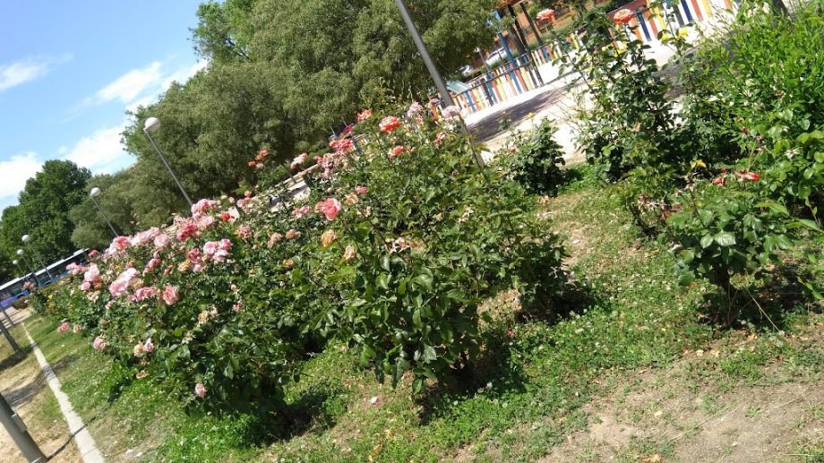 Parque de Paseo de Ginebra - Foto 7