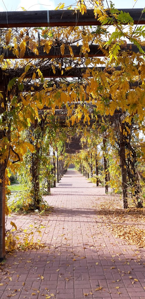 Parque de Paseo de Ginebra - Foto 1