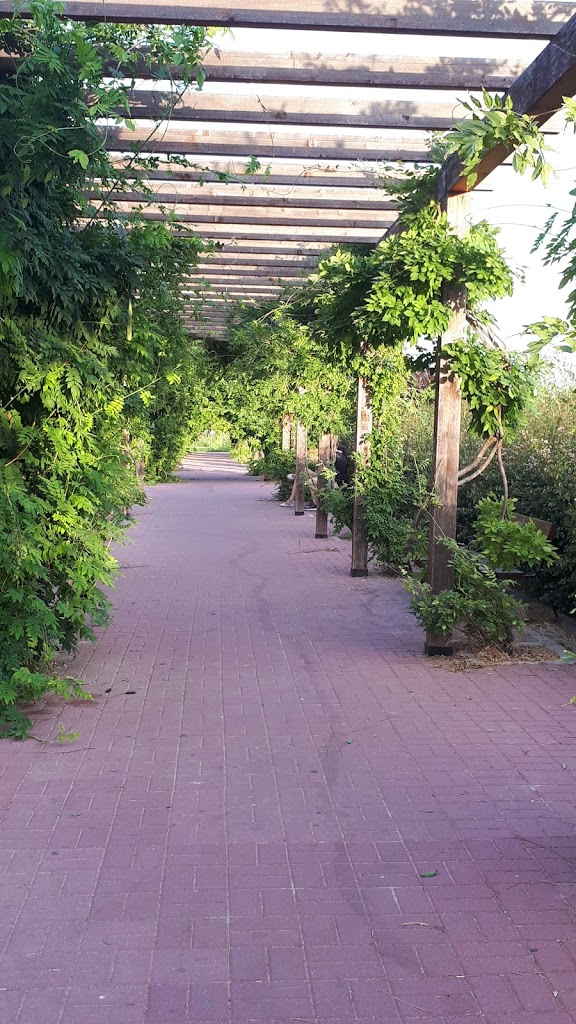 Parque de Paseo de Ginebra - Foto 10