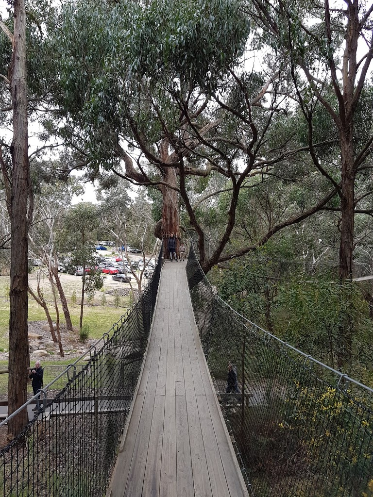 Enchanted Adventure Garden - Foto 8