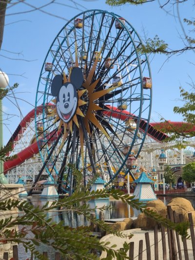 Disney California Adventure