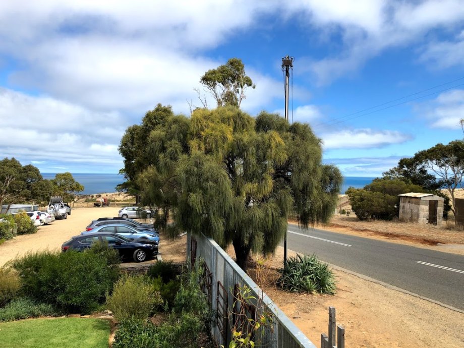 Forktree Brewing - Foto 4