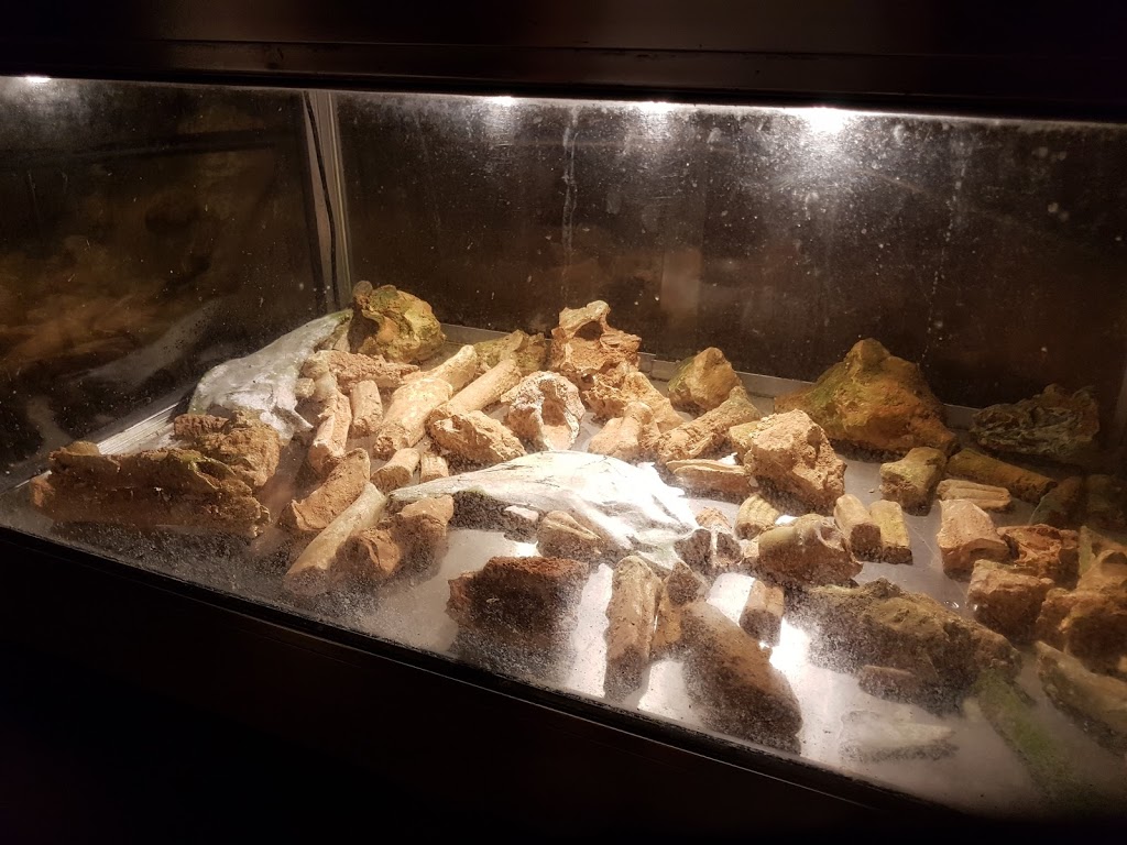 Grutas de Mira de Aire 9