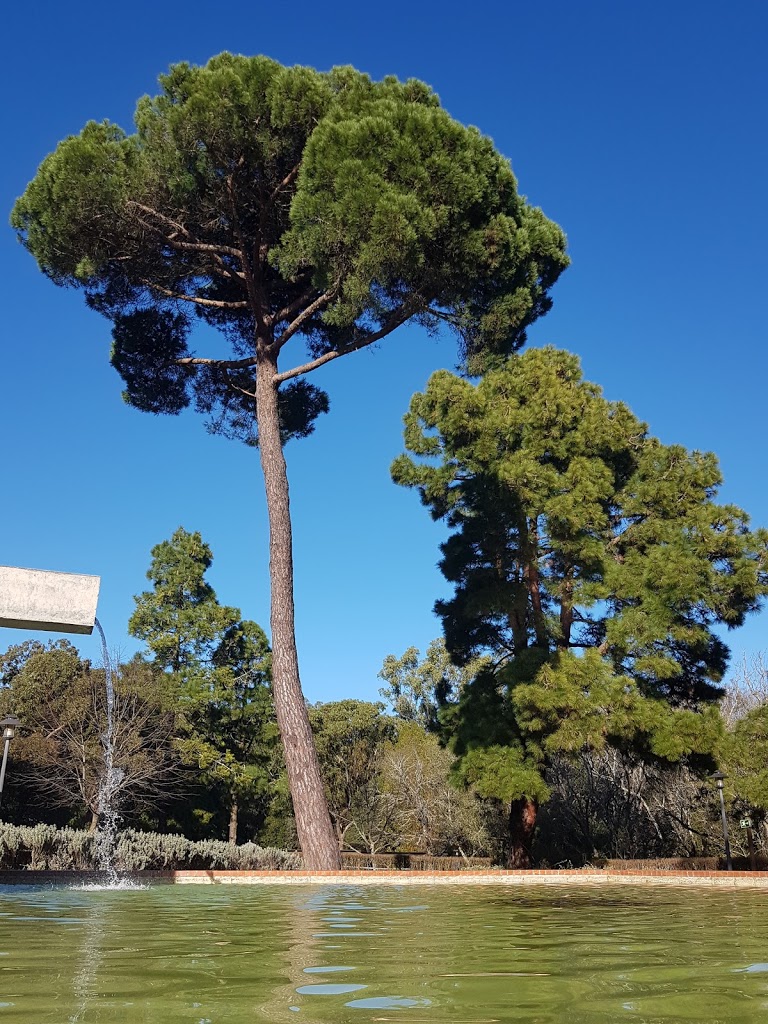 Parque Recreativo do Alvito - Foto 1