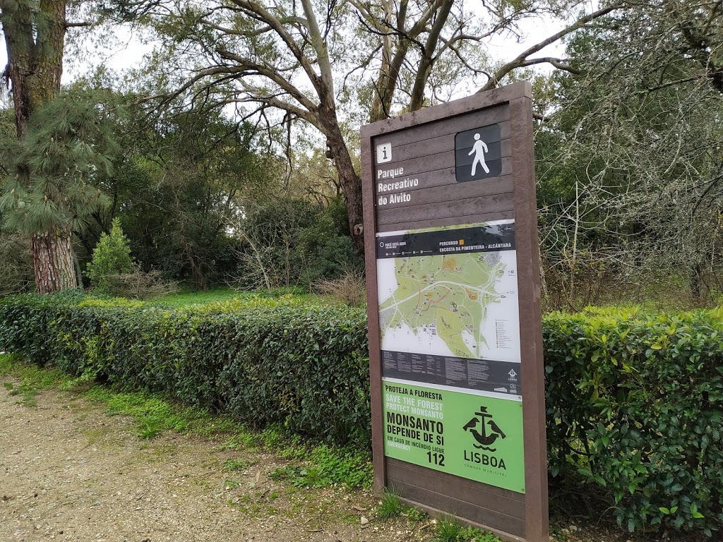 Parque Recreativo do Alvito - Foto 1