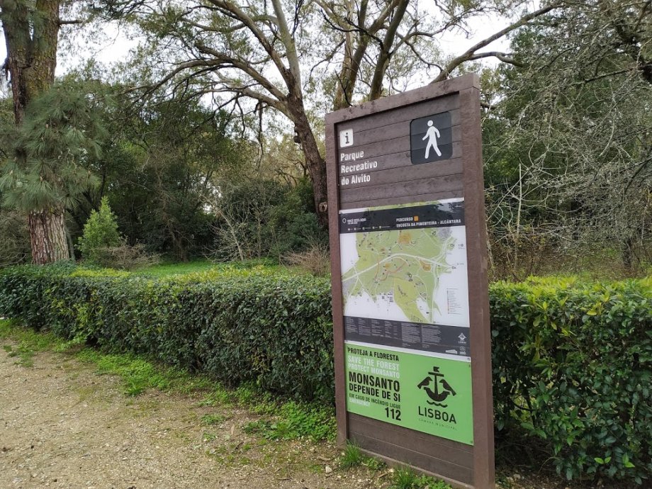Parque Recreativo do Alvito - Foto 9