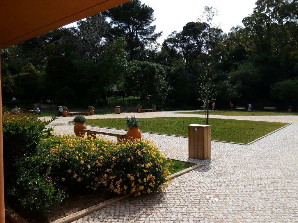 Parque Recreativo do Alvito - Foto 1