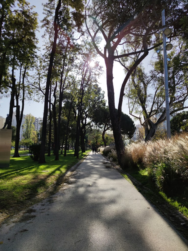 Jardim do Campo Grande - Foto 2