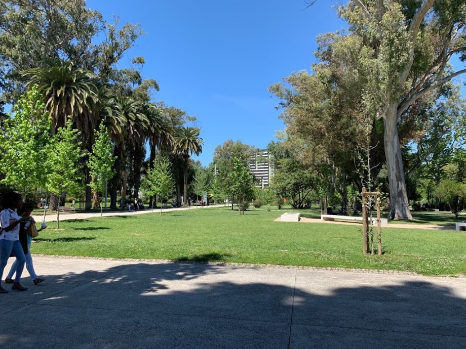 Jardim do Campo Grande - Foto 4