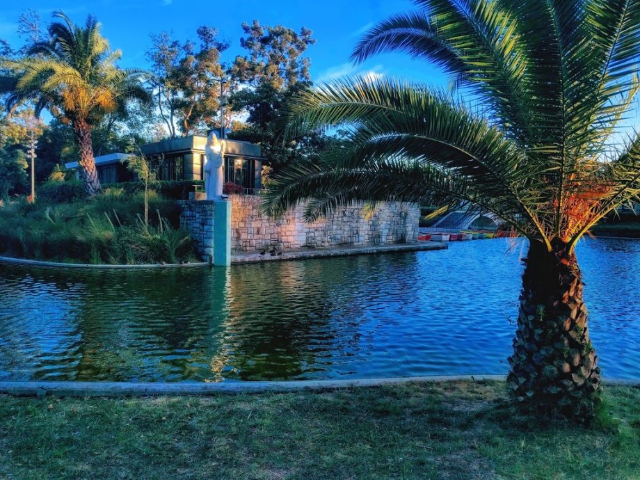 Jardim do Campo Grande - Foto 6